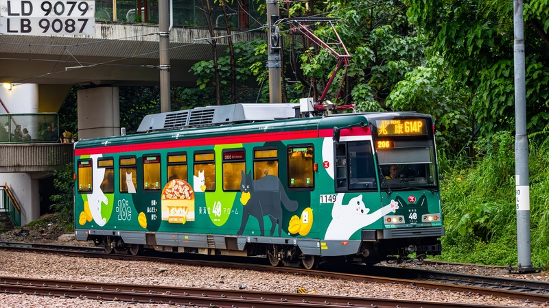 20250802-2U3A3124-已增強-雜訊減少-2.JPG