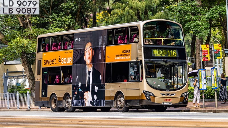 20250731-2U3A1472-已增強-雜訊減少.JPG