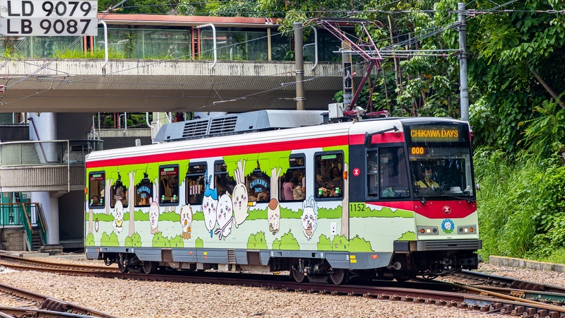 2U3A4991-已增強-雜訊減少.JPG