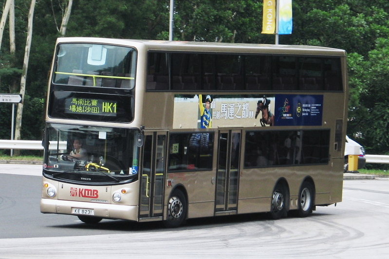 KE8231.jpg