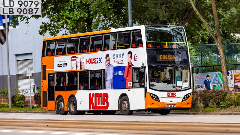 2U3A8334-已增強-雜訊減少.JPG