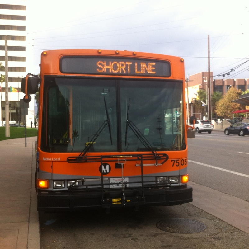 7505.JPG