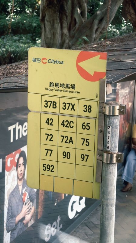 1000209597.jpg