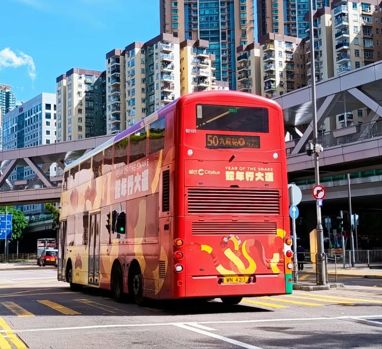 52101 (2).jpg