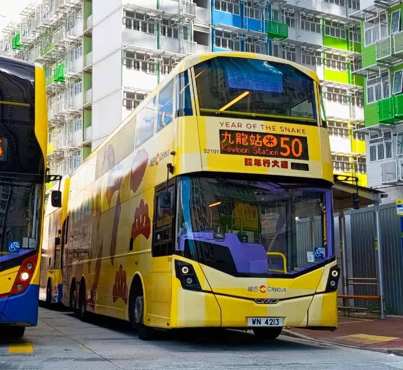 52101 (3).jpg