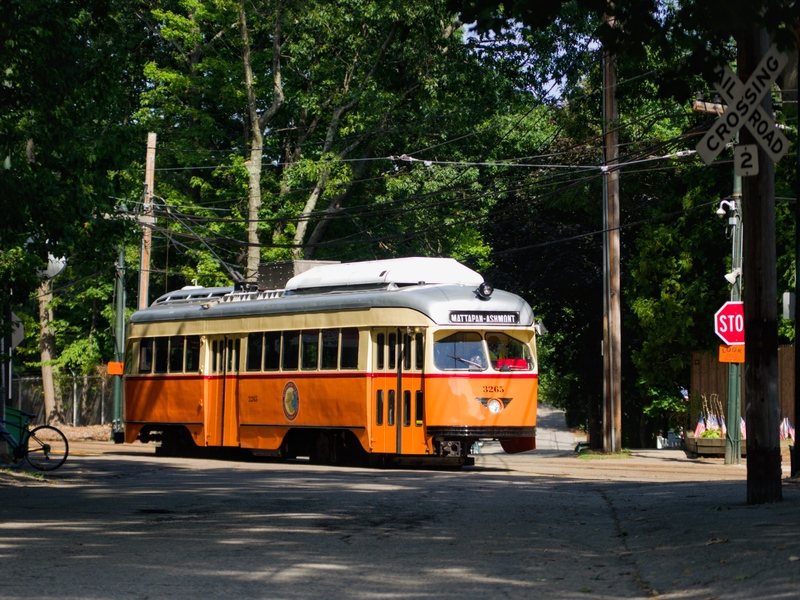 IMGP1296.jpg