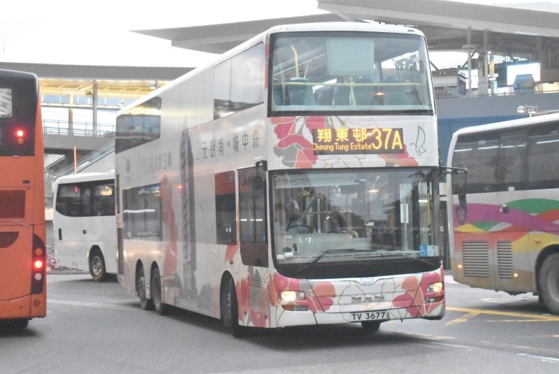 nl_md04@37a_1_1.jpg