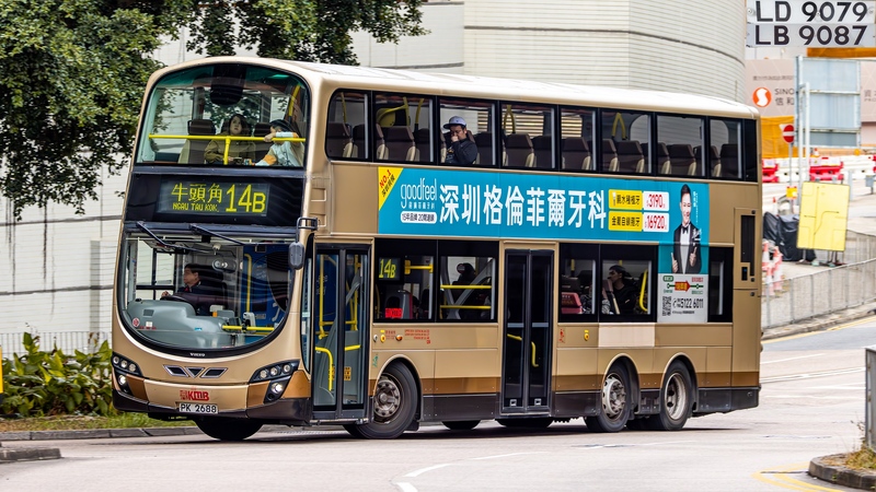 2U3A3486-已增強-雜訊減少.JPG