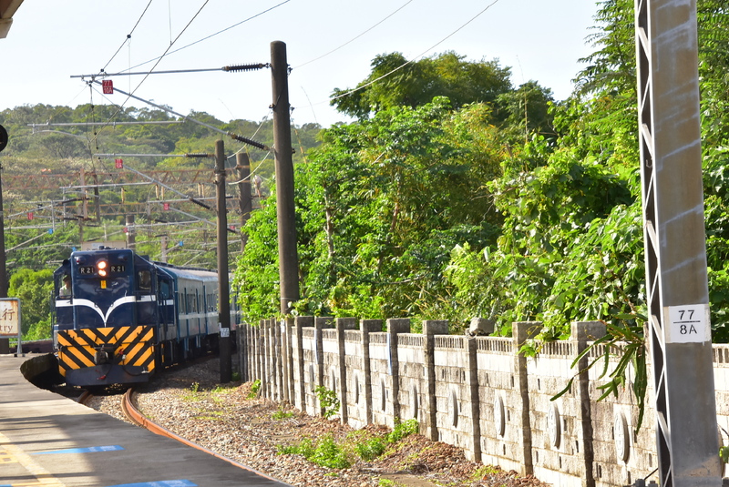 DSC_9877 - 複製.JPG