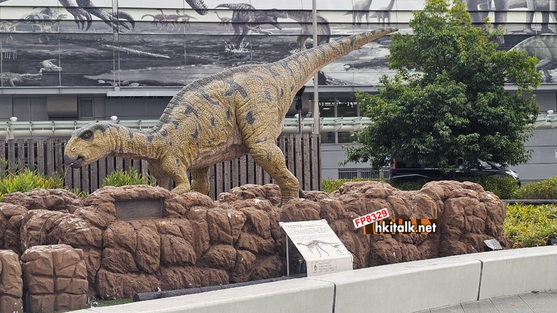 福井站恐龍廣場 (9).jpg