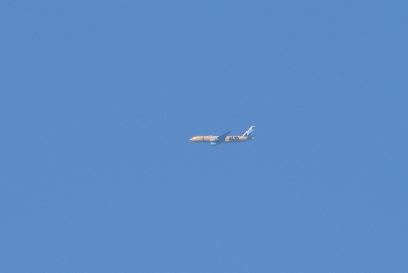 DSC_5323 - 複製.JPG