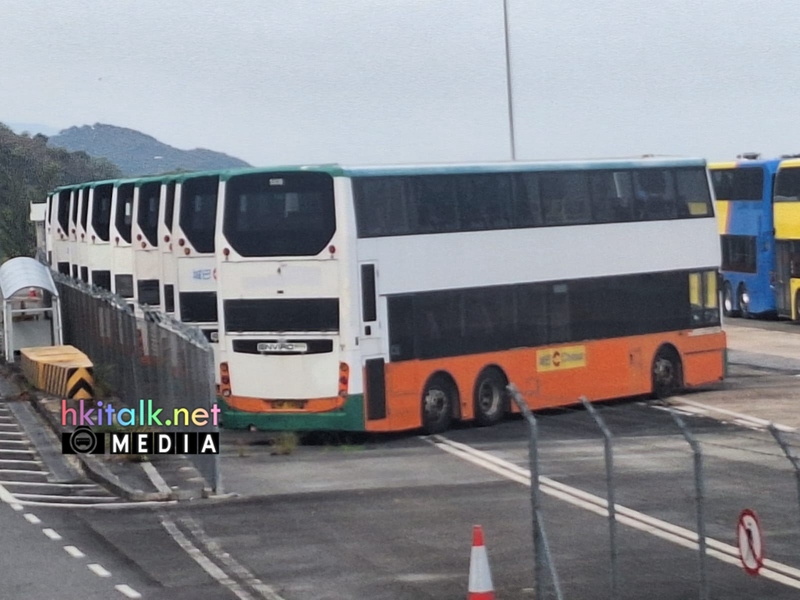 青馬20260202 (2).jpeg