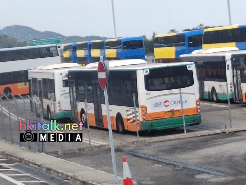 青馬20260202 (3).jpeg