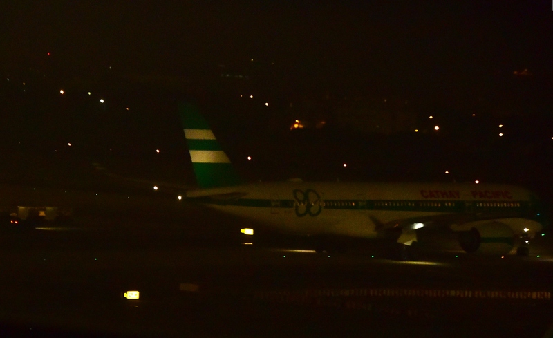 DSC_7313 - 複製.JPG