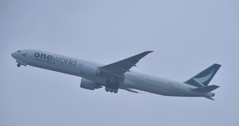 DSC_6998 - 複製.JPG