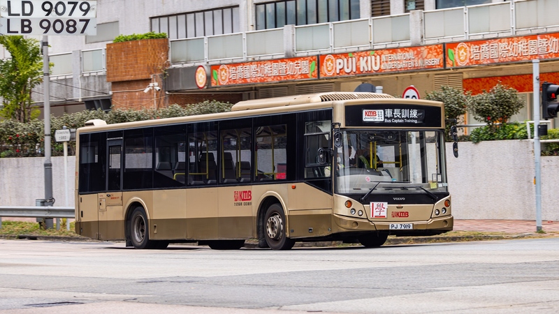 2U3A3941-已增強-雜訊減少.JPG