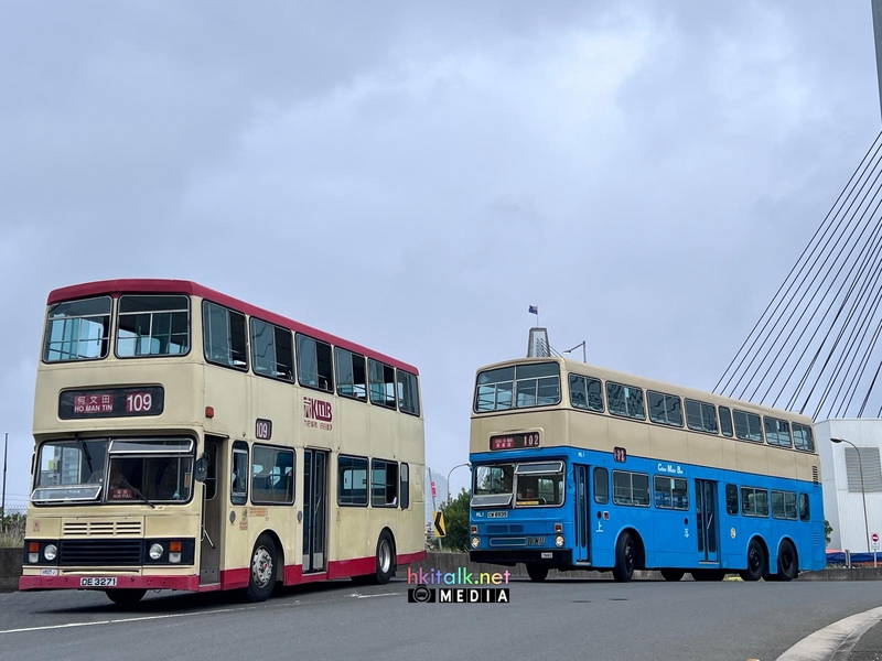 Sydney HKbus (5).jpeg