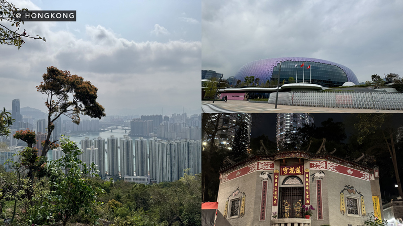 202602-03 - AC007 and AC008.032.jpeg