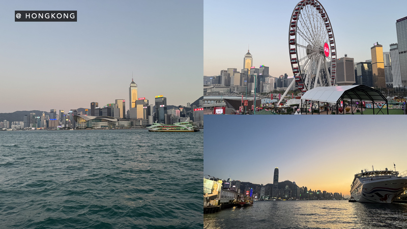 202602-03 - AC007 and AC008.033.jpeg