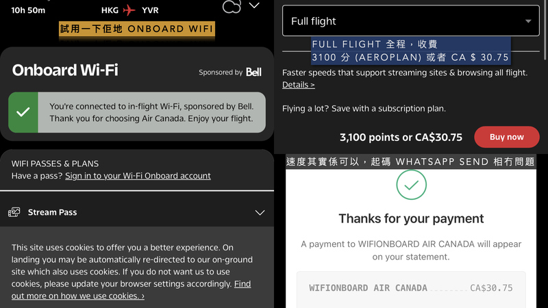 202602-03 - AC007 and AC008.046.jpeg