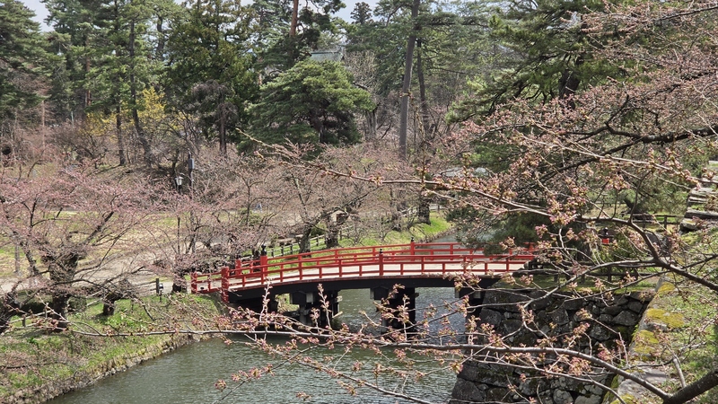 弘前公園櫻花 (3).jpg