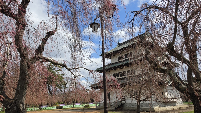 弘前公園櫻花 (4).jpg