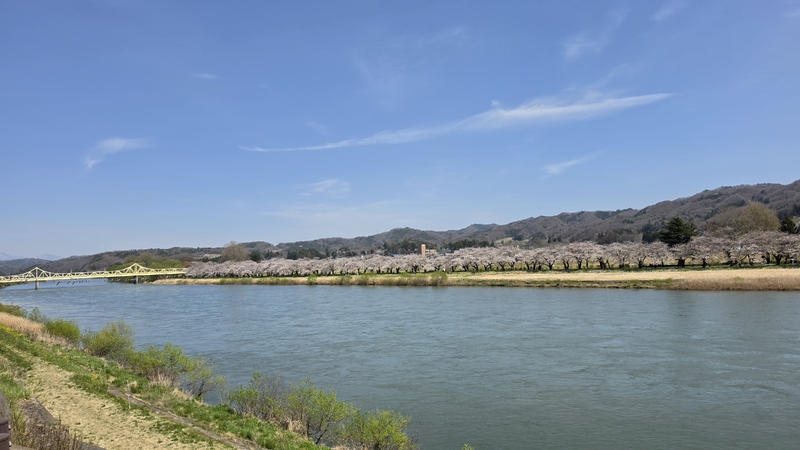 北上展勝地櫻花 (1).jpg