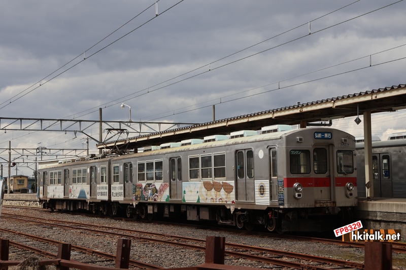 弘南鐵道弘南線 (4).JPG