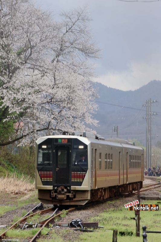 磐越西線 櫻花下的GV-E400系.JPG