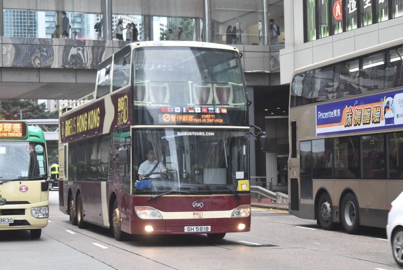 o_bigbus_15_1.jpg