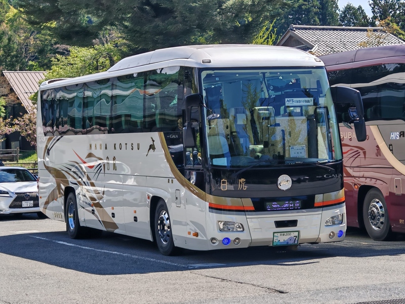 高野山 (9).jpeg