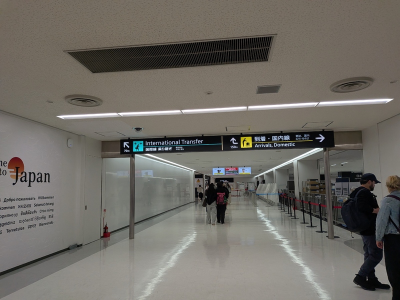 tr231.jpg