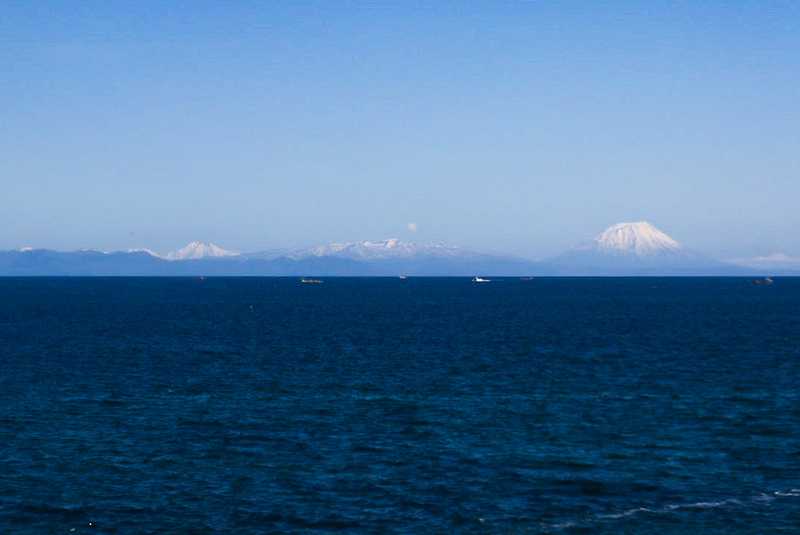 DSC07596_2 (1).jpg