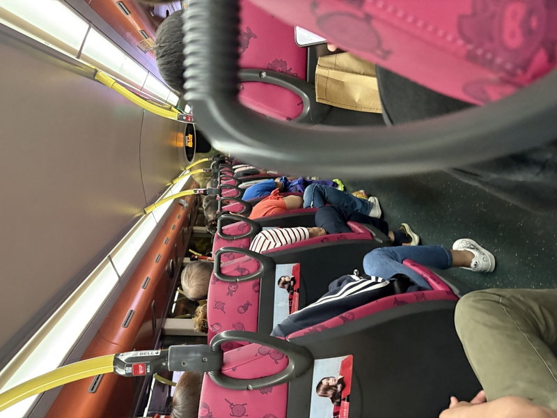 IMG_2059.jpeg