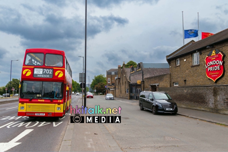 S218LLO (3).jpeg