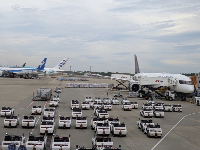 tr317.jpg