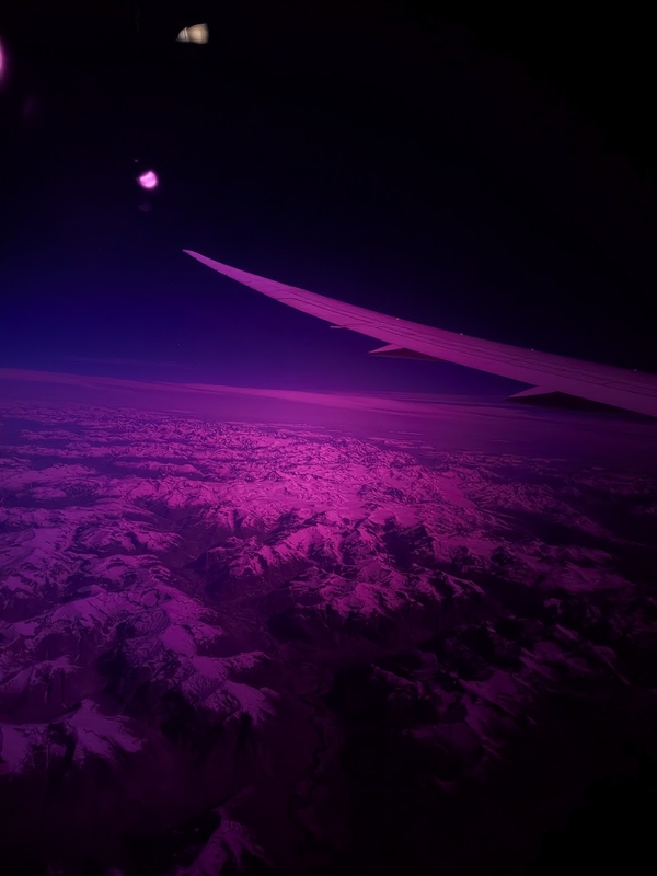 tr333.jpg