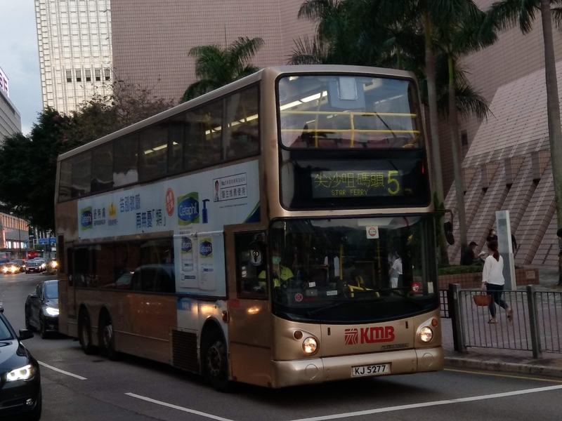 IMAG9533.jpg