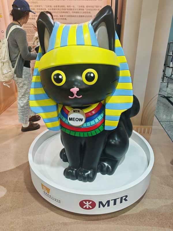 cat (2).jpeg