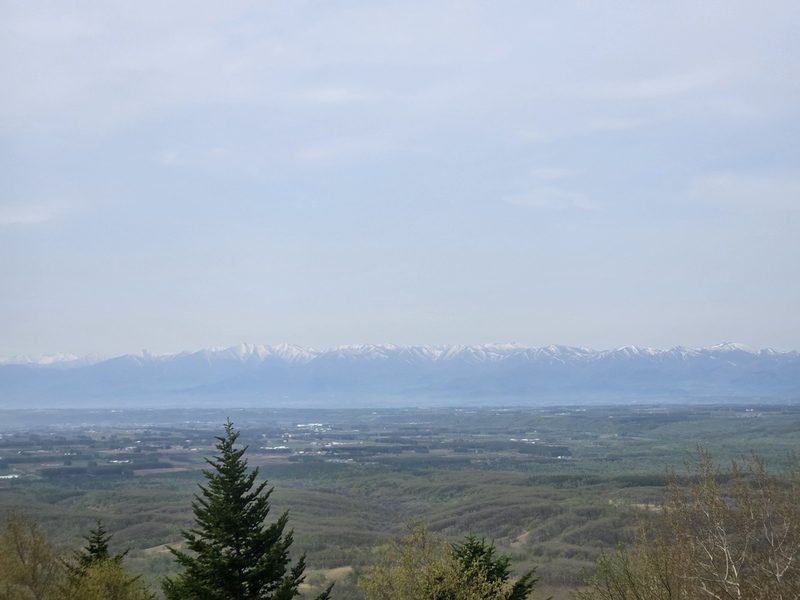 20260515_093854.jpg