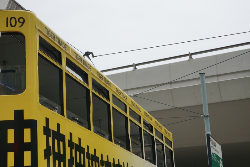 109b.jpg