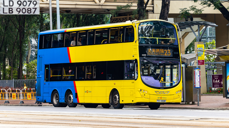 2U3A1378-已增強-雜訊減少.JPG