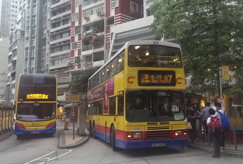 IMAG6954=.jpg