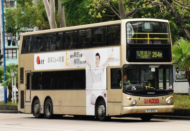 KV8102@S-264R.jpg