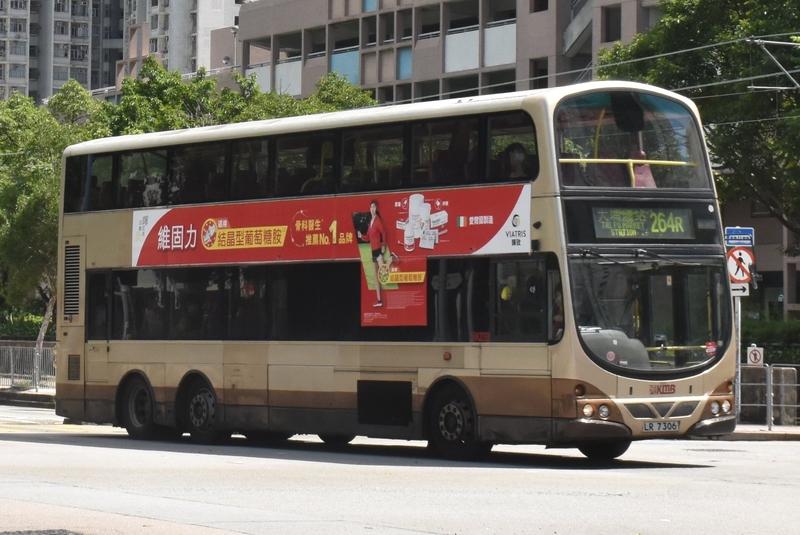 LR7306@S-264R.jpg