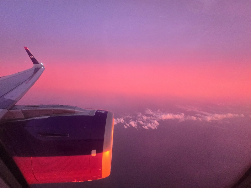 20260526_195755.jpg