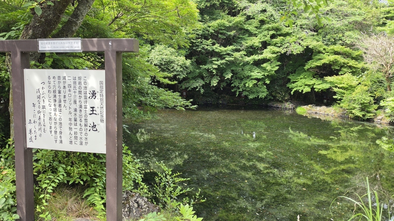 富士山本宮淺間大社 (4).jpg