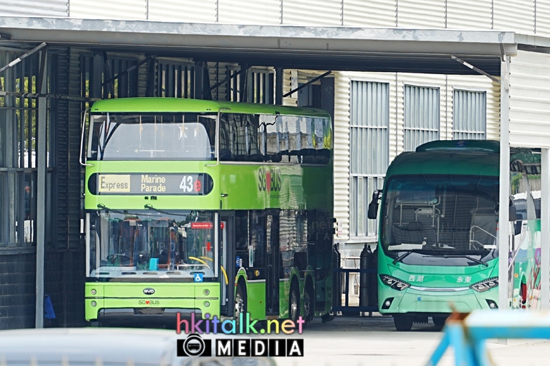 BYD.jpeg
