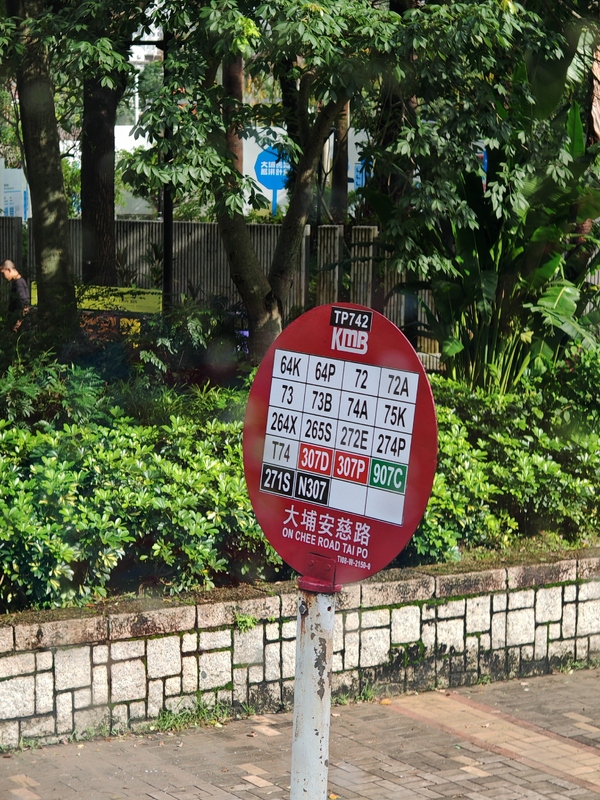 1004702722.jpg