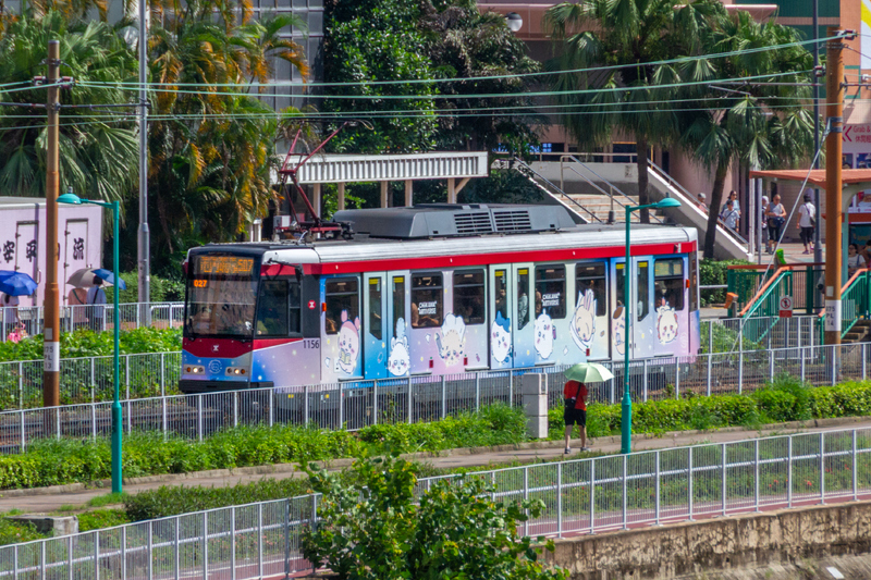 68579.jpg